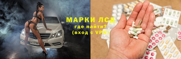 стафф Алзамай