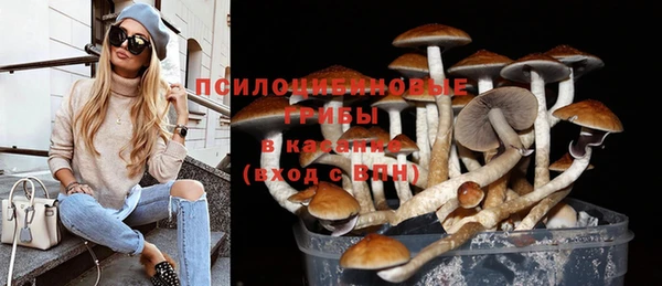 дмт Алексин