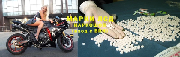стафф Алзамай